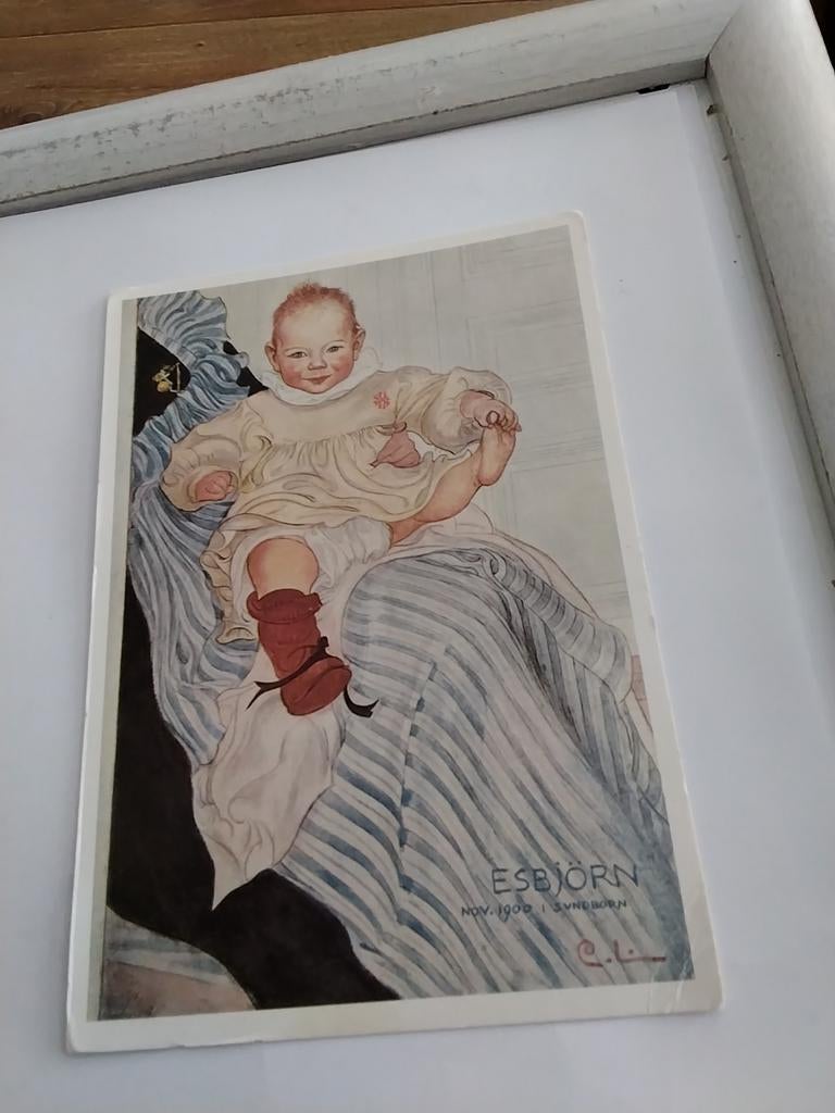CARL LARSON.  ESBJORN 1900, Ophalen of Verzenden, Voor 1920