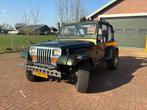 1996 Jeep Wrangler 2.5i Softtop Personenauto, 450 kg, 1341 kg, 4 cilinders, Cabriolet