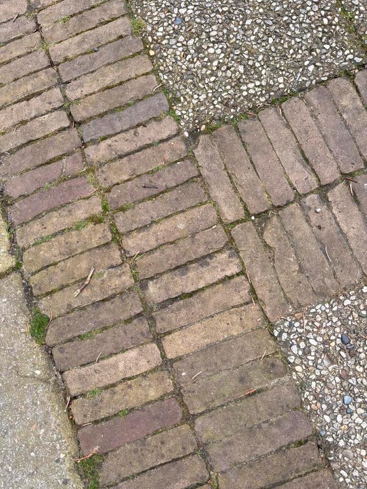 Waaltjes - Circa 2250 stuks voor uw tuin of terras, Tuin en Terras, Tegels en Klinkers, Gebruikt, Klinkers, Overige materialen