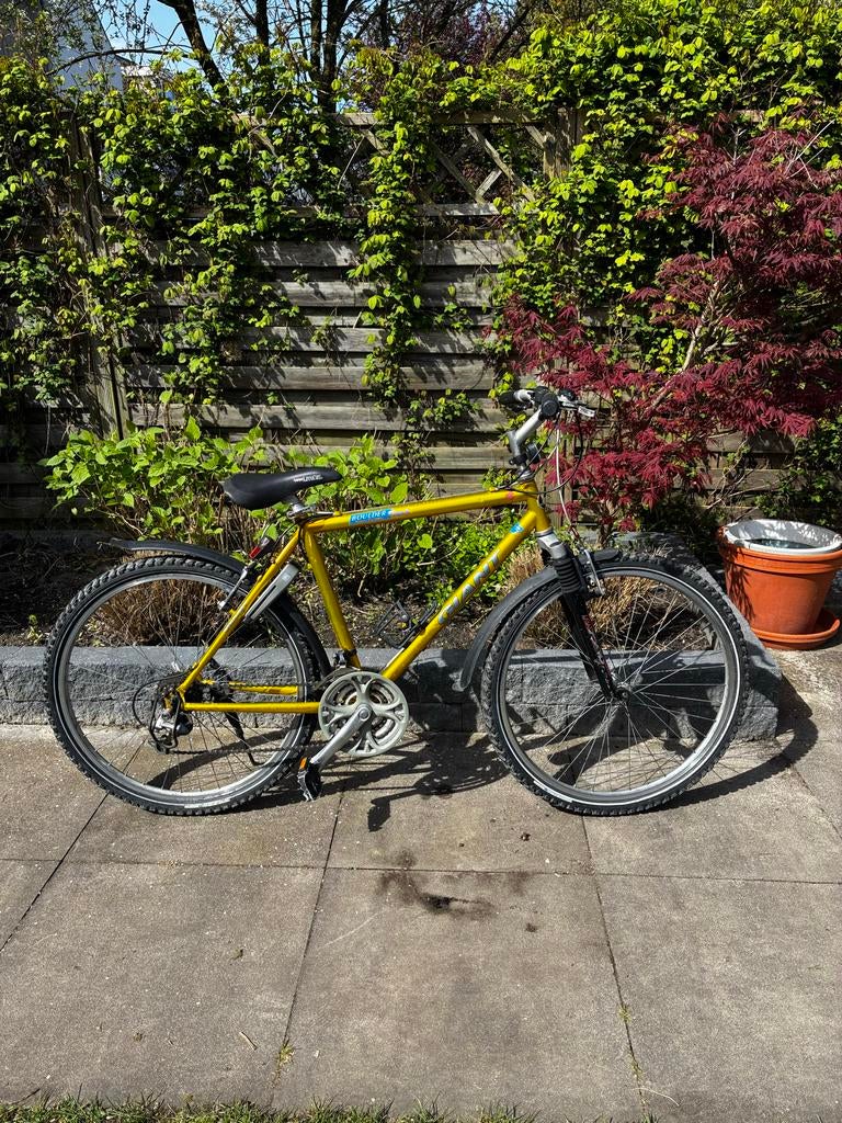 Giant Mountainbike 26 inch, Fietsen en Brommers, Fietsen | Mountainbikes en ATB, Ophalen, Gebruikt, Hardtail, Heren