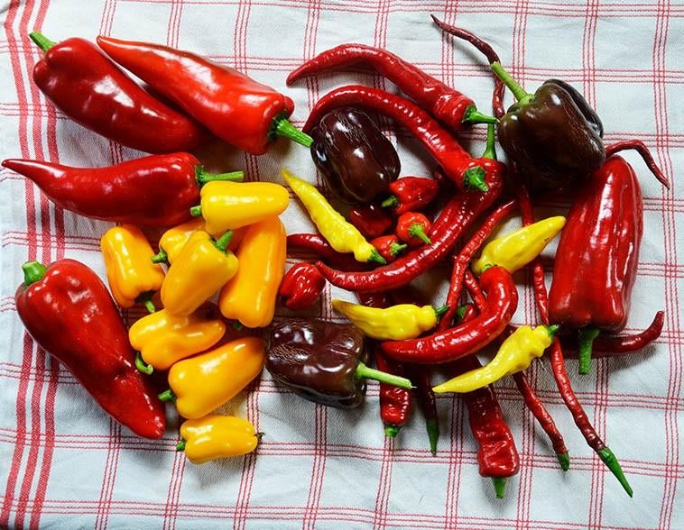 Biologische paprikaplanten en peperplanten, paprika, peper, Tuin en Terras, Ophalen of Verzenden, Eenjarig, Groenteplanten, Volle zon