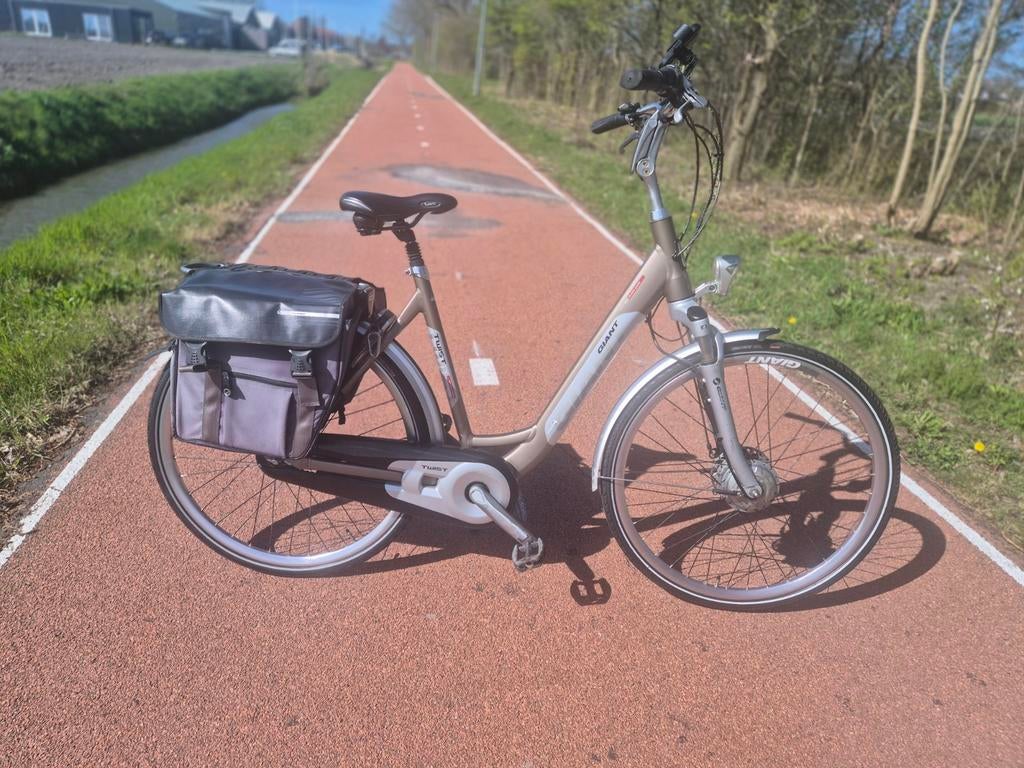 Giant twist elektrische fiets, Ophalen of Verzenden, Gebruikt, Overige merken