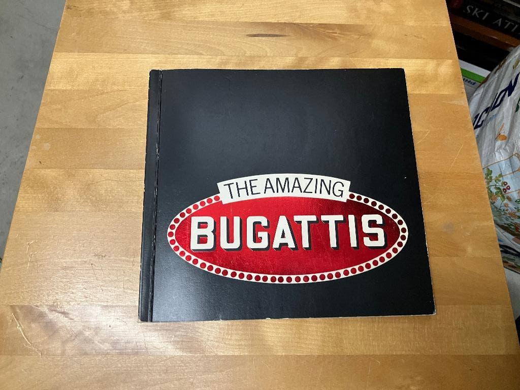 Bugatti sportwagen Rembrandt Bugatti sculptuur dieren, Boeken, Ophalen of Verzenden, Zo goed als nieuw, Overige merken