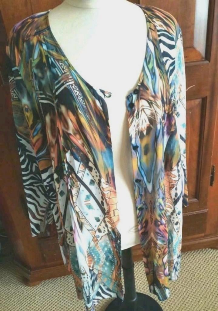 Prachtige blouse/tuniek van Sempre Piu by Chalou 54, Kleding | Dames, Grote Maten, Verzenden, Sempre Piu by Chalou, Zo goed als nieuw