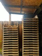 Broodkratten, Gebruikt, Minder dan 35 cm, Ophalen of Verzenden, Minder dan 40 cm