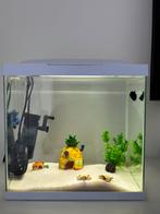 Superfish led aquarium 27 L, Ophalen, Gebruikt, Verlichting of Verwarming