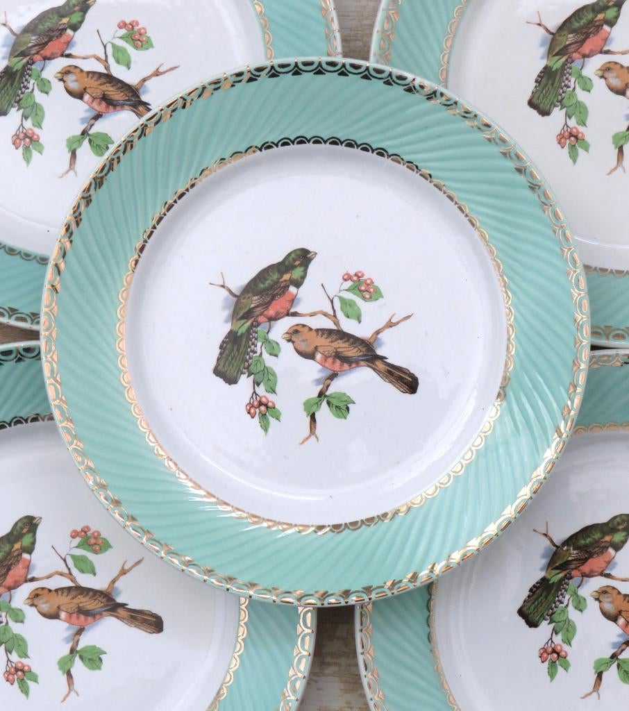 Oud Frans dinerbord Badonviller “Vogels”, jaren 50, Antiek en Kunst, Ophalen of Verzenden
