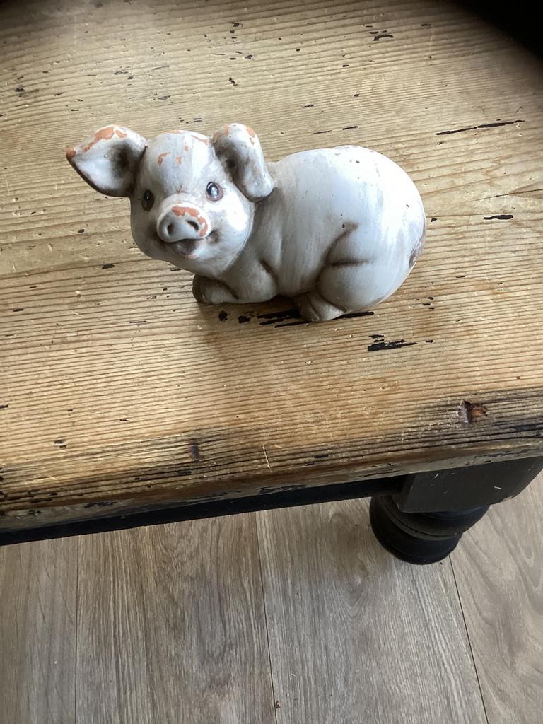 Varken, Ophalen of Verzenden, Zo goed als nieuw, Dier