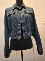 Spijkerjas kort model, Blauw, Maat 42/44 (L), Nieuw, Ophalen of Verzenden