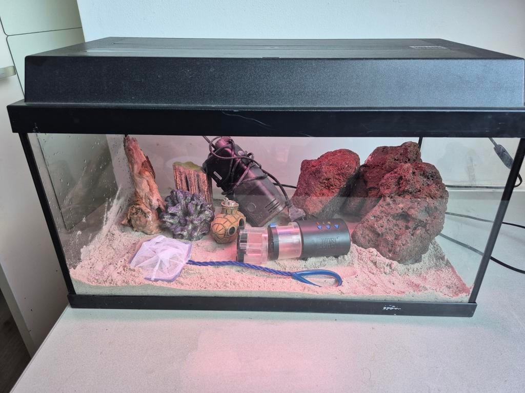 Juwel 60cm aquarium, Ophalen, Gebruikt