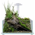 Wabi Kusa Bio Tank Black | 32 x 32 x 14 cm plantenterrarium, Dieren en Toebehoren, Ophalen, Zo goed als nieuw, Leeg aquarium