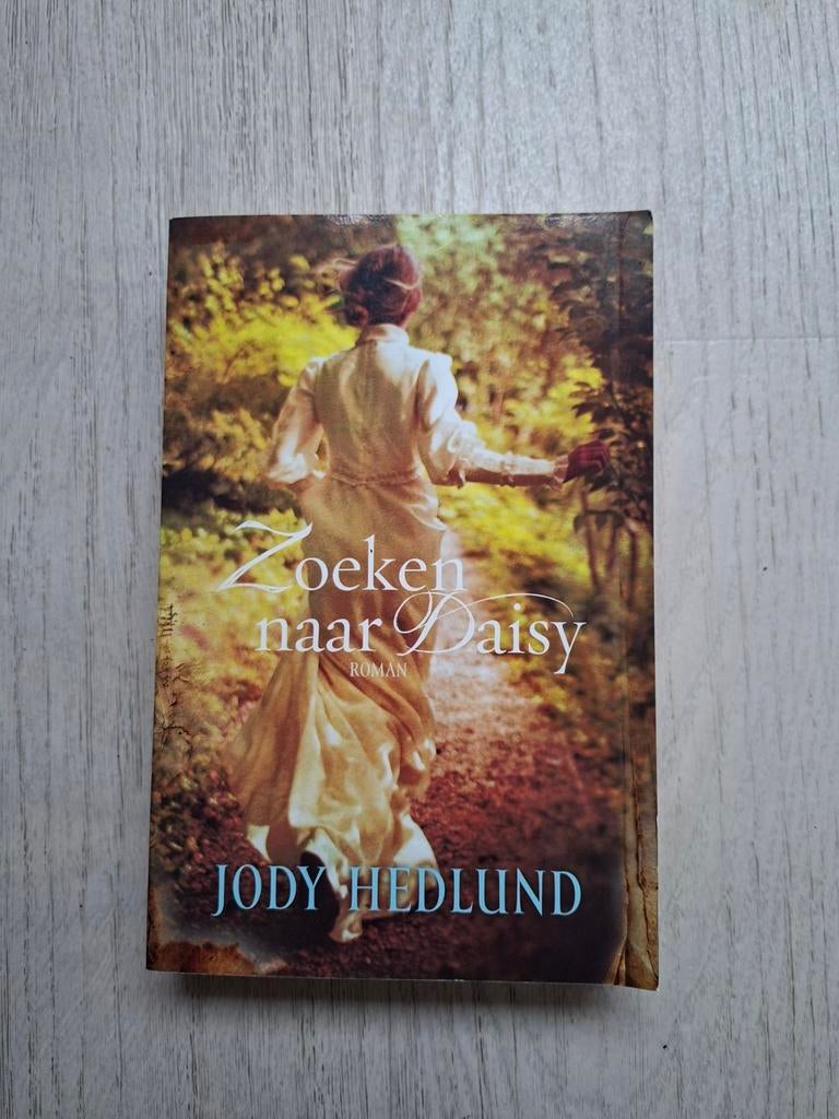 Zoeken naar Daisy, Boeken, Romans, Zo goed als nieuw, Amerika, Ophalen of Verzenden