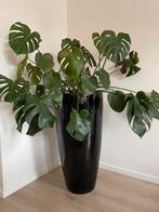 Keramieken pot 91cm hoog, Tuin en Terras, Bloempotten, Ophalen, Zo goed als nieuw, Rond, 70 cm of meer