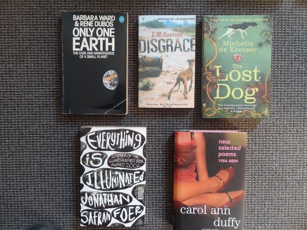 5 Engelstalige romans en New selected poems, Boeken, Taal | Engels, Gelezen, Verzenden