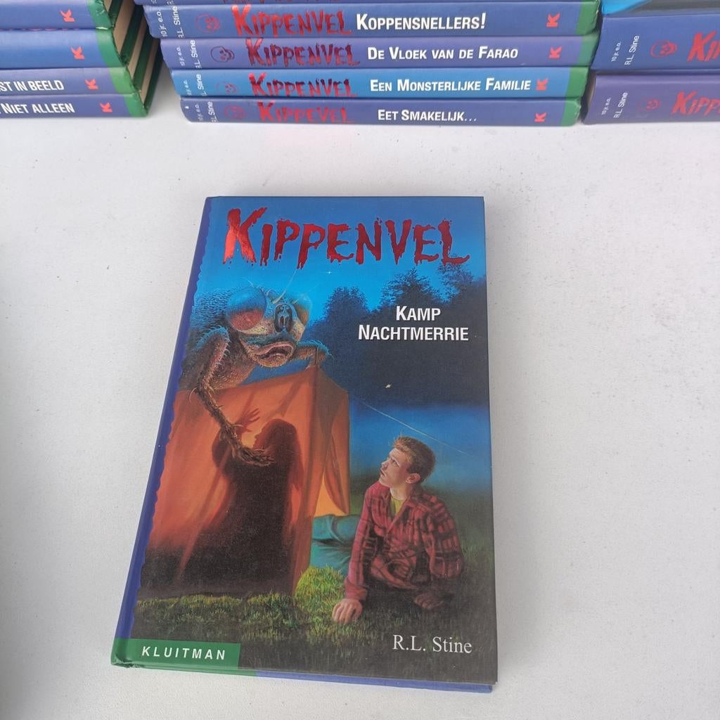 Kippenvel - Kamp Nachtmerrie, Boeken, Ophalen of Verzenden, Zo goed als nieuw, R.L. Stine