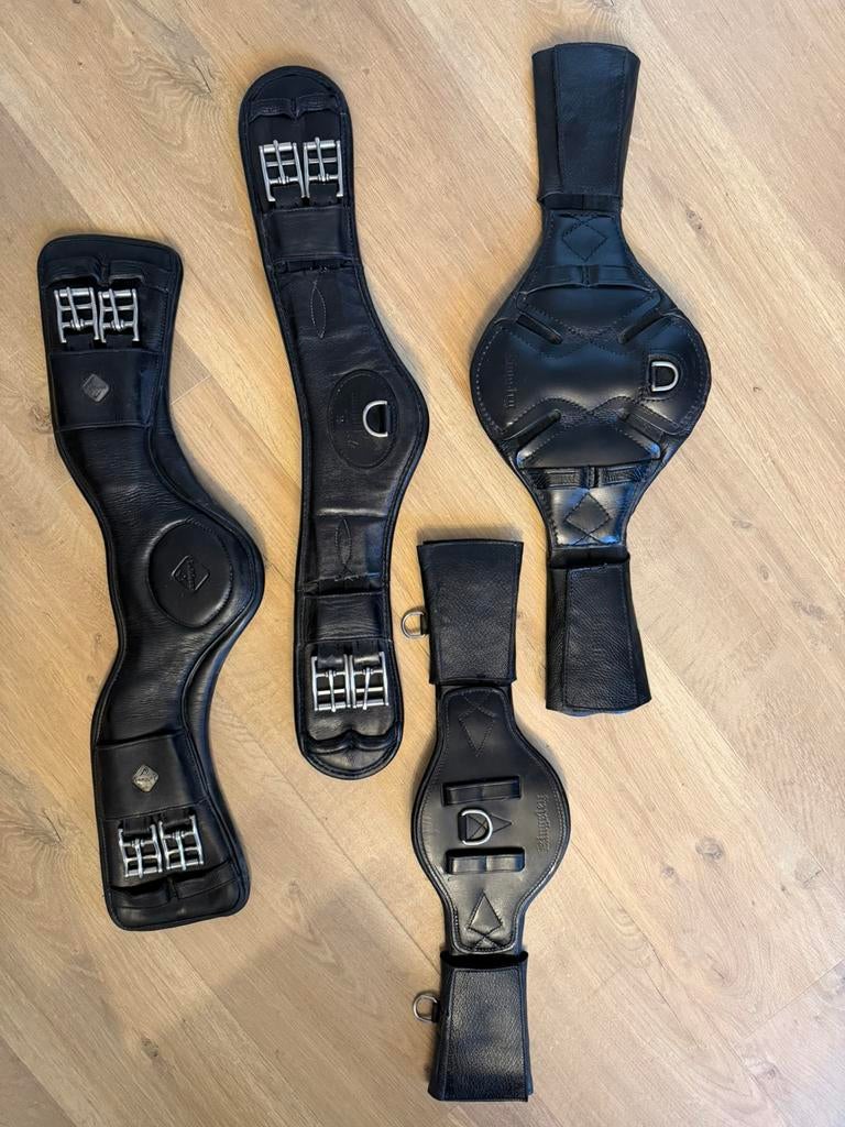 Singels: 1x Kingsley, 1x Arno Brandt, Dieren en Toebehoren, Ophalen of Verzenden, Gebruikt, Dressuur