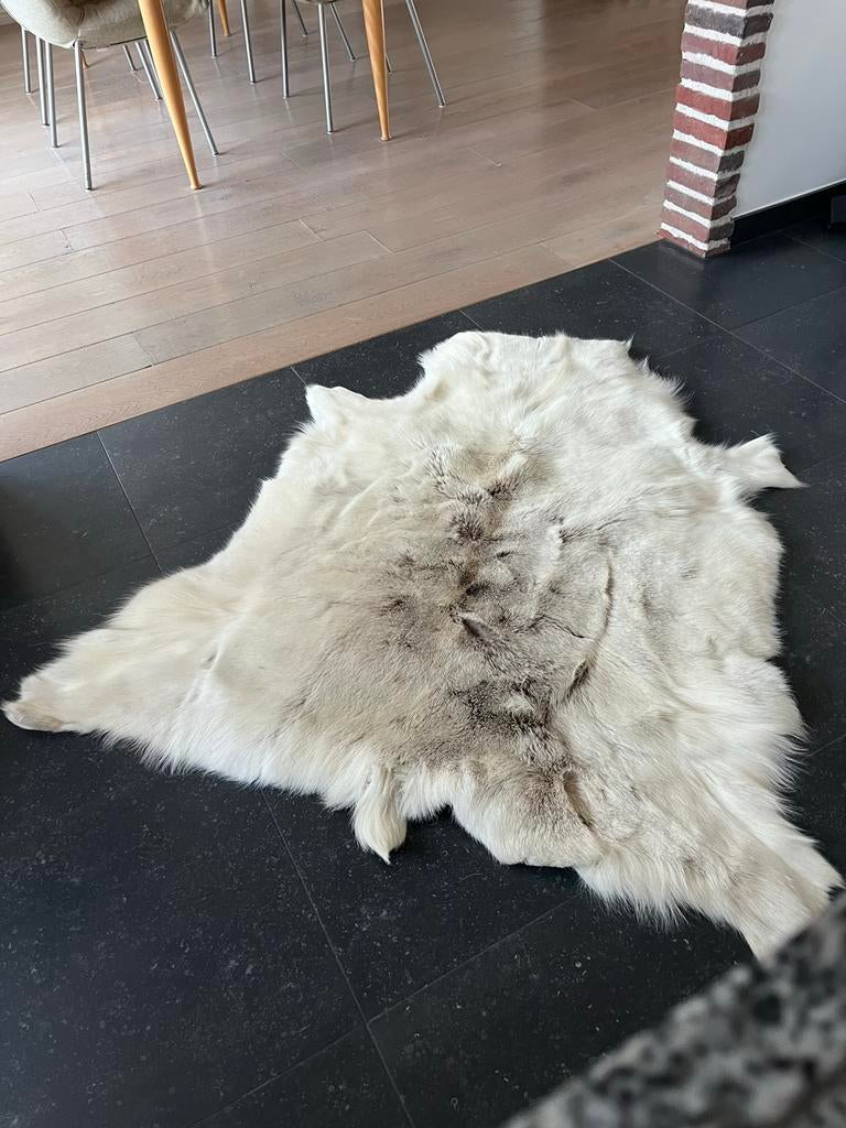 Rendierhuid - Wittig/Naturel, Ophalen, Zo goed als nieuw, Wit, Modern