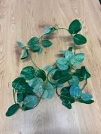 Nep Klimop Slinger - Decoratieve Kunstplant, Ophalen, Nieuw, Binnen