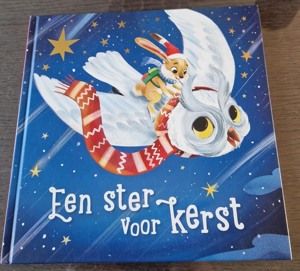 Voorleesboeken over kerst/ winter, Ophalen of Verzenden, Nieuw