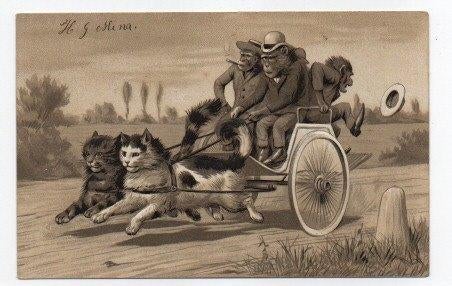 Poezen en apen in en voor een kar 1905 (Reliëf), Ophalen, Voor 1920, Gelopen, Overige thema's