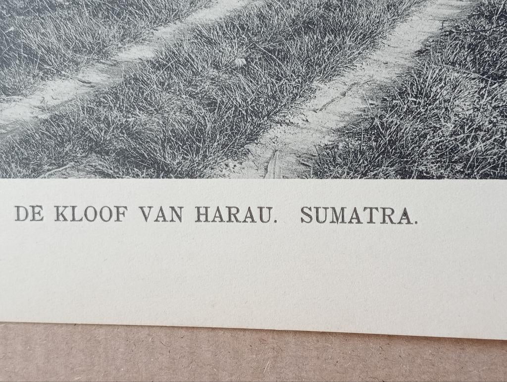 Foto gravure 1910 Nederlands Indië, Indonesië 18x28 cm, Verzamelen, Ophalen of Verzenden, Voor 1940, Zo goed als nieuw, Buitenland