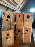 7 Broedblokken gebruikt voor penanten, Dieren en Toebehoren, Vogels | Hokken en Kooien, Ophalen, Zo goed als nieuw, Hout, Broedkooi of Kweekkooi