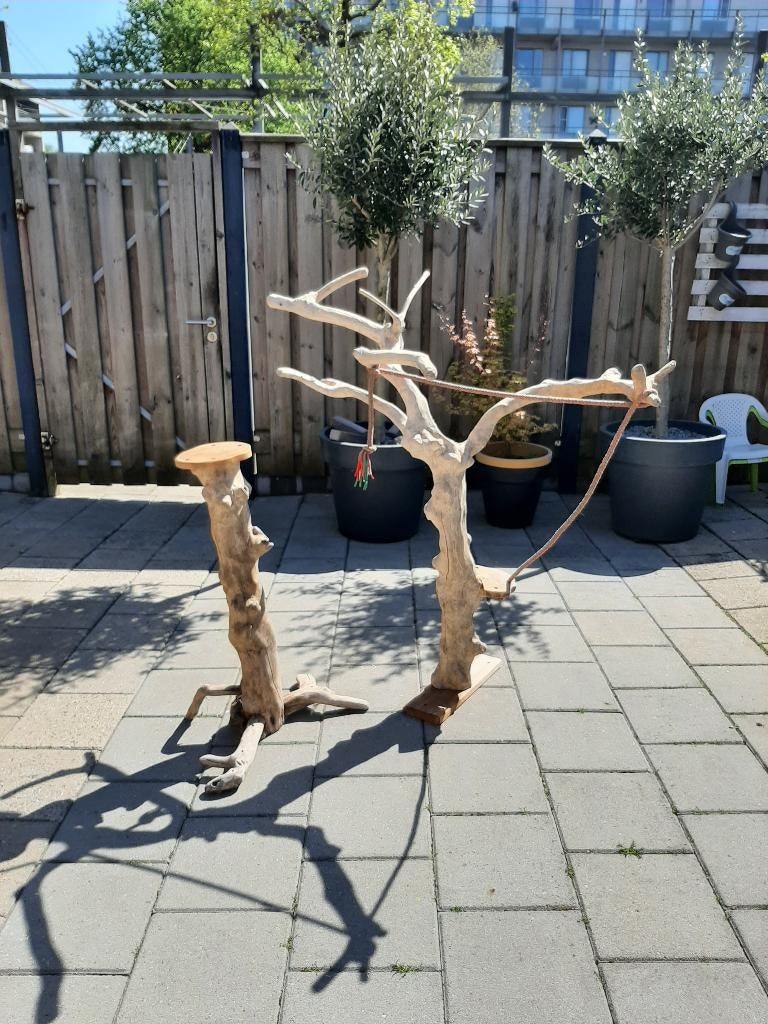 Javaboom, Dieren en Toebehoren, Vogels | Parkieten en Papegaaien, Meerdere dieren, Papegaai