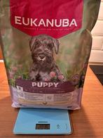 Eukanuba puppy brokken, Ophalen, Hond