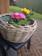 Bloembak  groot z. g.a.n, Ophalen of Verzenden, Zo goed als nieuw, Overige typen, Welkoop