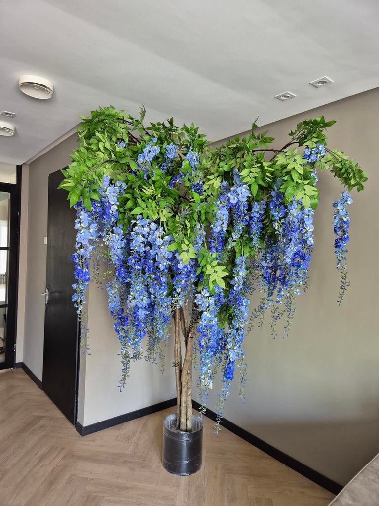 Kunstplant Wisteria Deluxe (Blauwe Regen) 250 cm incl. pot, Ophalen, Binnen, Kunstplant, Zo goed als nieuw