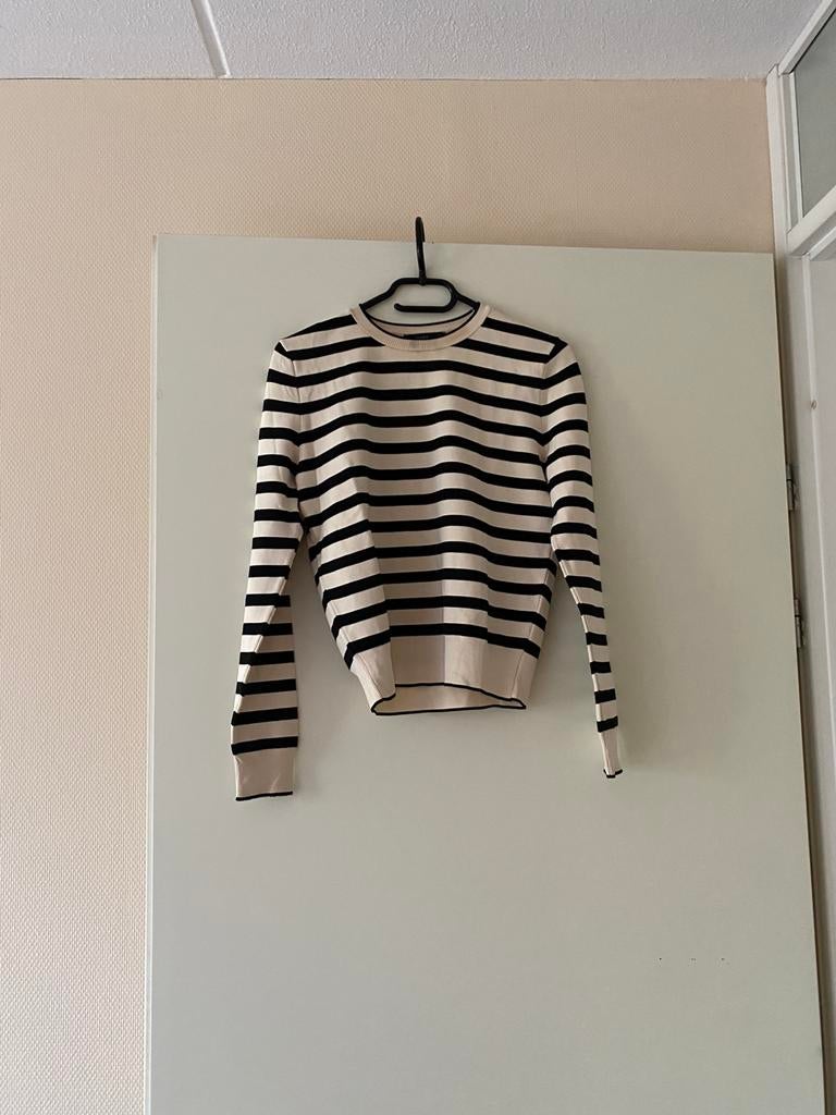 Zara trui, Ophalen of Verzenden, Zo goed als nieuw, Maat 38/40 (M), Zwart