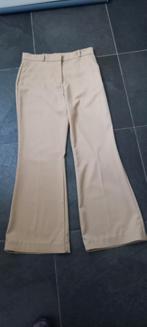 H & M BROEK MET WIJDERE PIJP MAAT 40, Maat 38/40 (M), Beige, Ophalen of Verzenden, H& M