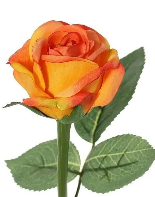 TOPART - ROOSJE - ORANJE - ZALM ROZE - ZACHT ROZE