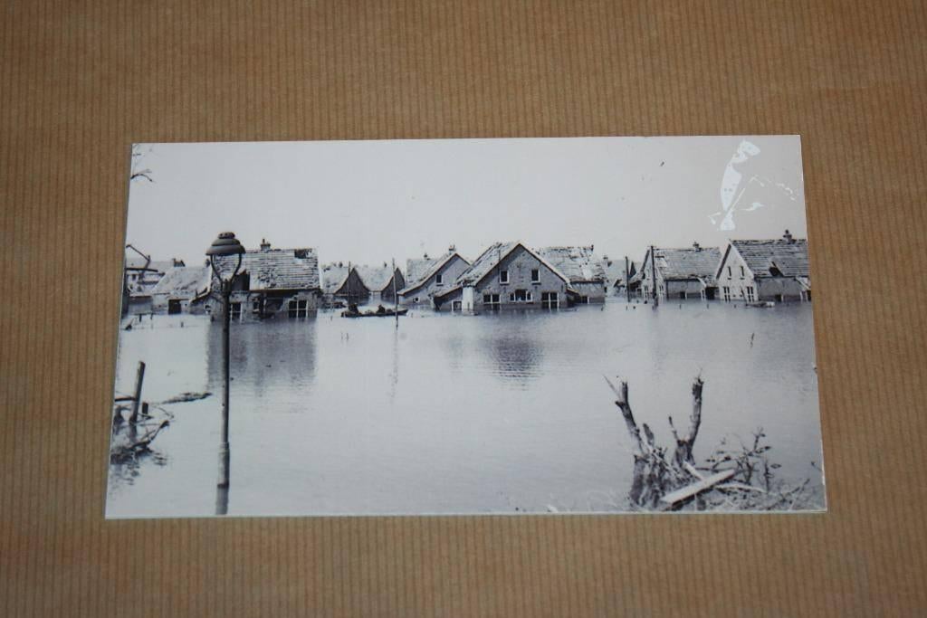 Foto Archief Vlissingen - Tuindorp inundatie Vlissingen 1944, Boeken, Geschiedenis | Stad en Regio, Ophalen of Verzenden, Gelezen