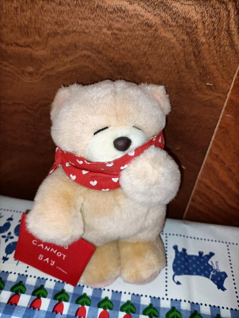 Andrew Brownsword beer knuffel "Words cannot say", Ophalen of Verzenden, Zo goed als nieuw, Stoffen beer, Overige merken