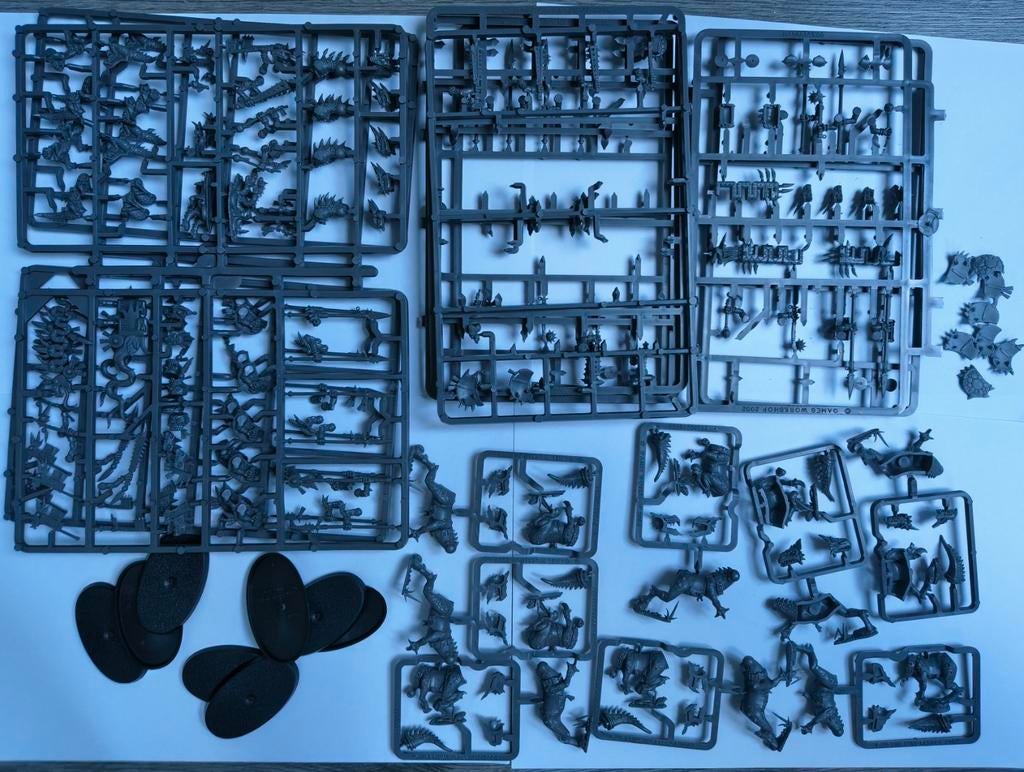 Warhammer AoS: Seraphon, lizardmen! 8x Saurus Knights, Hobby en Vrije tijd, Wargaming, Ophalen of Verzenden, Zo goed als nieuw