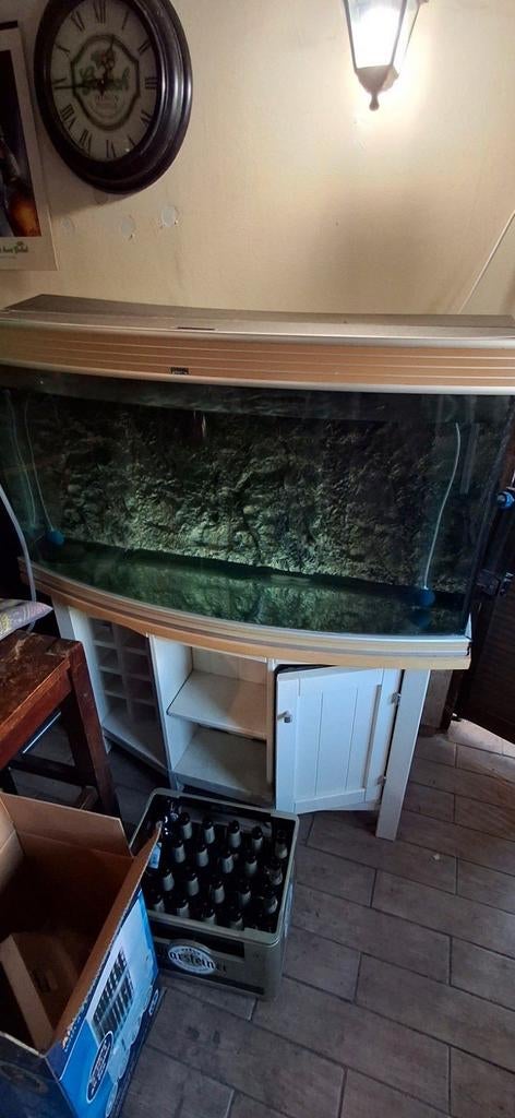 Aquarium Totaal, Ophalen of Verzenden, Leeg aquarium