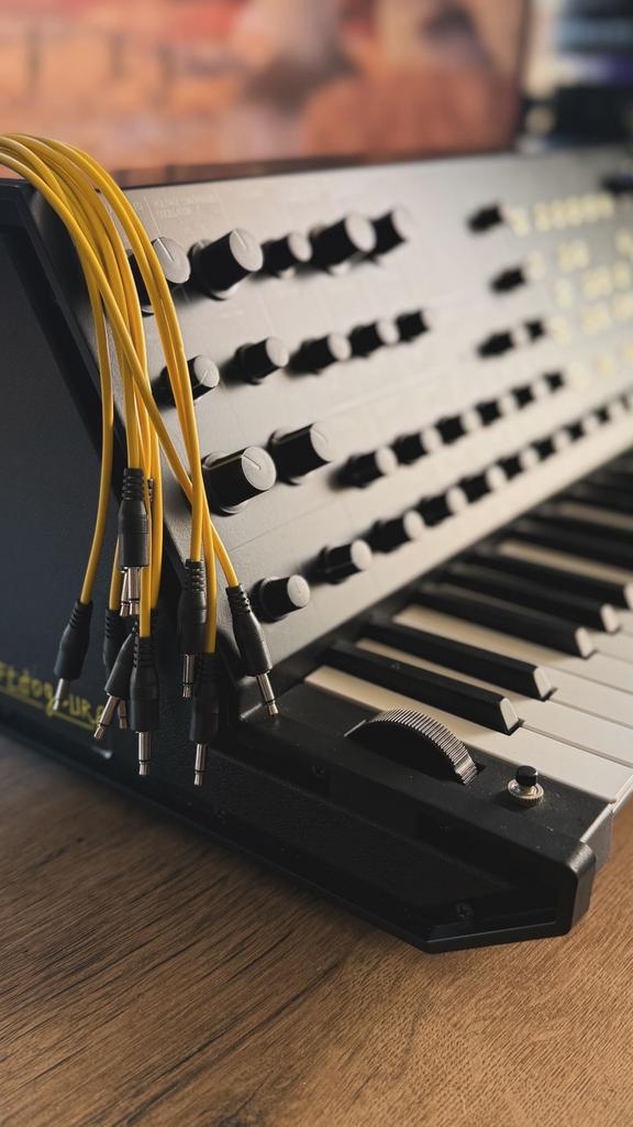 Korg Ms20 Mini Synth + Korg Sq1, Muziek en Instrumenten, Overige Muziek en Instrumenten, Zo goed als nieuw, Ophalen of Verzenden