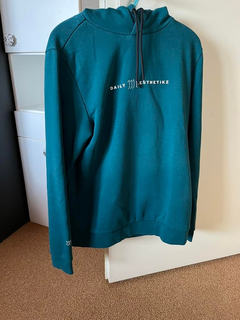 Daily Aesthetikz hoodie trui. Maat M, Kleding | Heren, Truien en Vesten, Ophalen of Verzenden, Zo goed als nieuw, Maat 46 (S) of kleiner