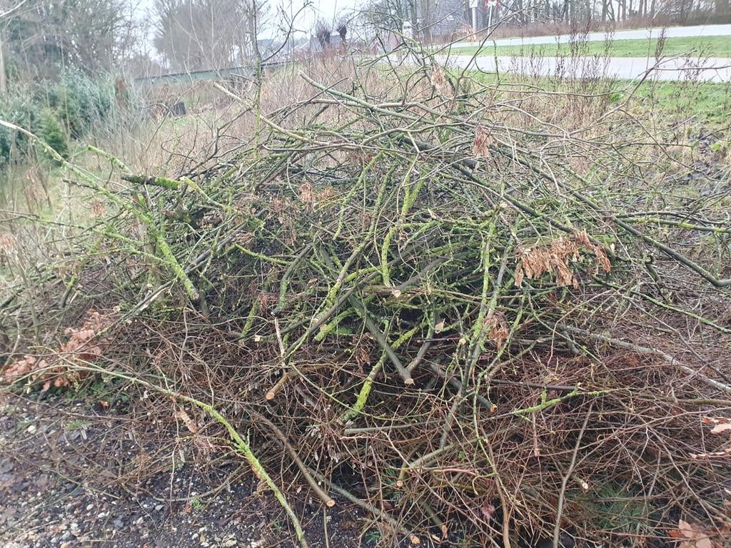 Takken voor brandhout PAASBULT, 6 m³ of meer, Ophalen, Overige houtsoorten, Takken