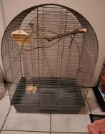 mooie grote vogelkooi te koop!, Ophalen, Zo goed als nieuw, Metaal, Vogelkooi