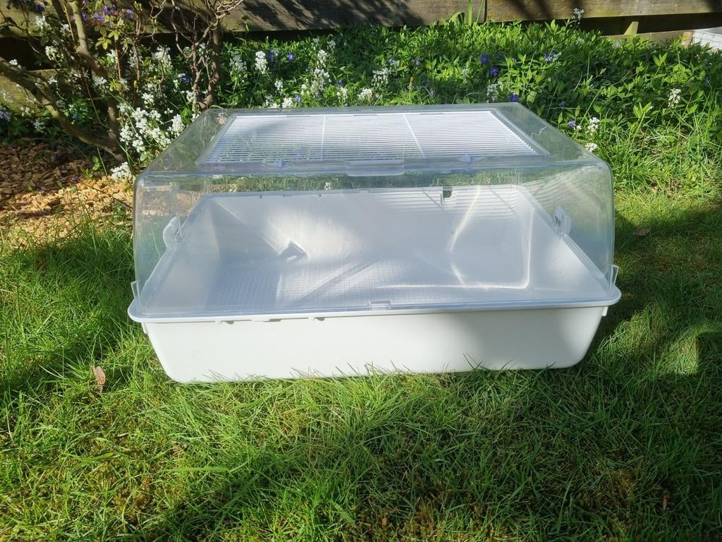 Knaagdieren kooi, Dieren en Toebehoren, Knaagdieren en Konijnen | Hokken en Kooien, Kooi, 75 tot 110 cm, Cavia, Ophalen