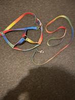 Halster met halstertouw maat Cob, Ophalen of Verzenden, Zo goed als nieuw, Overige soorten