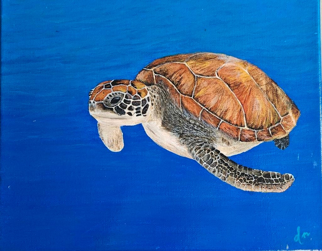 Handgemaakt acrylverf schilderij zeeschildpad 24x30 cm, Ophalen of Verzenden