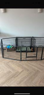 Honden ren - hek, Ophalen of Verzenden