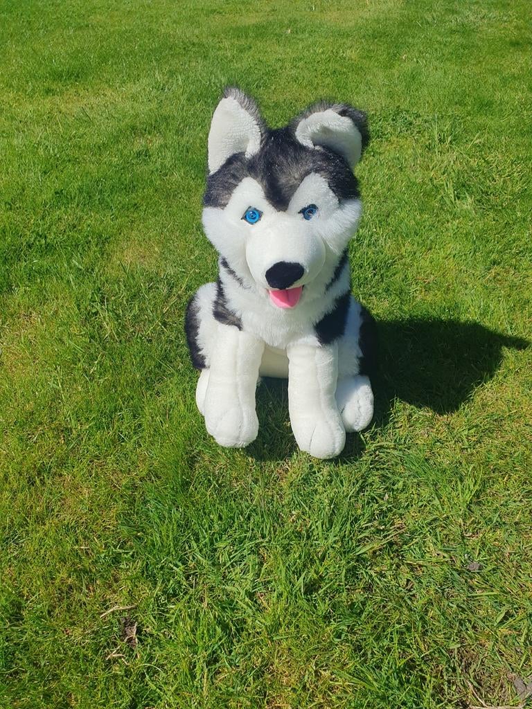 Grote speelgoed Husky knuffel 50 cm, Ophalen of Verzenden, Kunststof