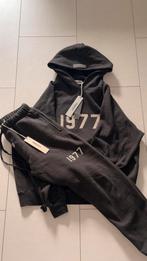 Essentials 1977, Ophalen of Verzenden, Nieuw, Maat 36 (S)