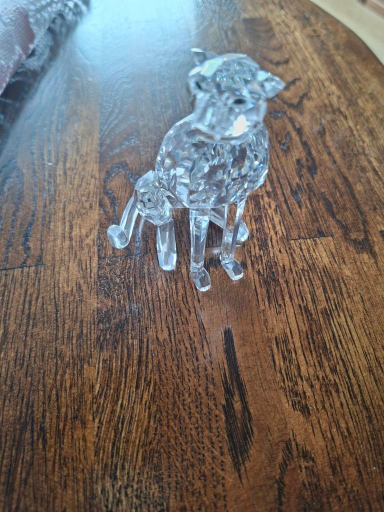 Swarovski cheetah 10x6cm, Ophalen of Verzenden