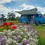 Volkswagen T3 Westfalia camper, Particulier