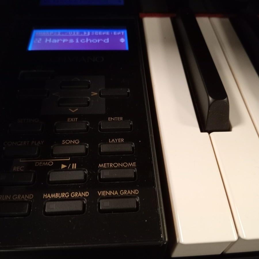 Casio GP510 Digitale Piano - Zwart Hoogglans, Muziek en Instrumenten, Zwart, Ophalen of Verzenden, Zo goed als nieuw, Piano